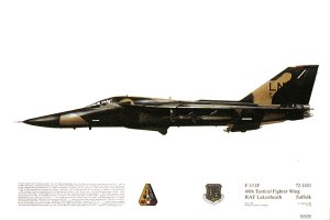 No 102, F-111F, 48 TFW, USAF